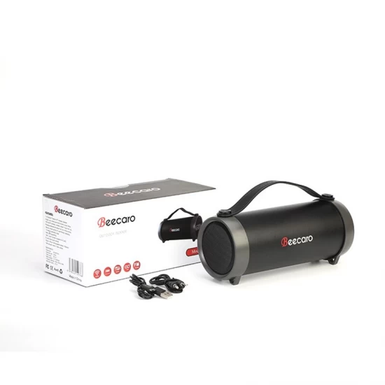 Boxa portabila Beecaro S33D