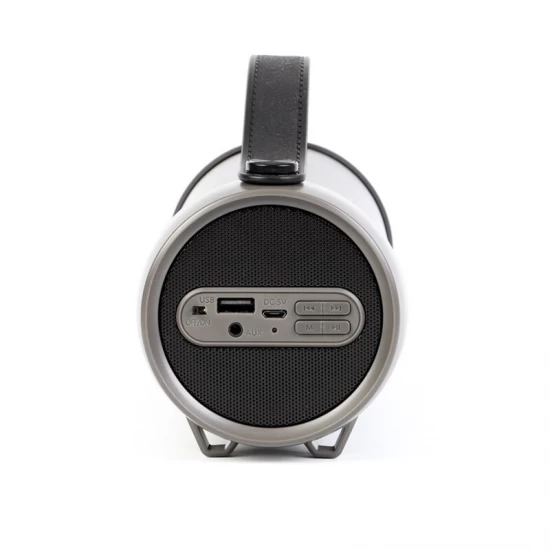 Boxa portabila Beecaro S33D